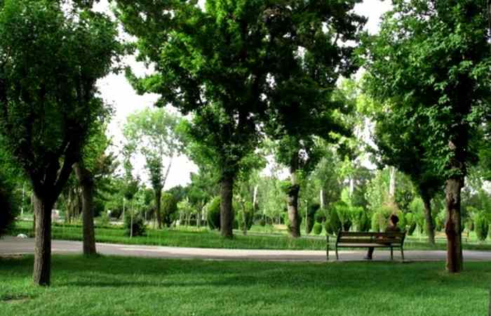 آشنائی با پارک ملت مشهد